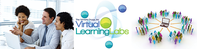 Virtual Learning Labs