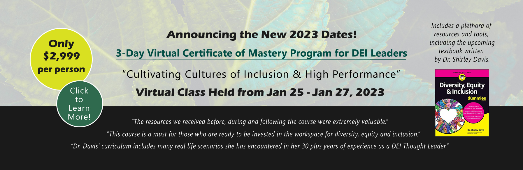 DEI Certificate of Mastery